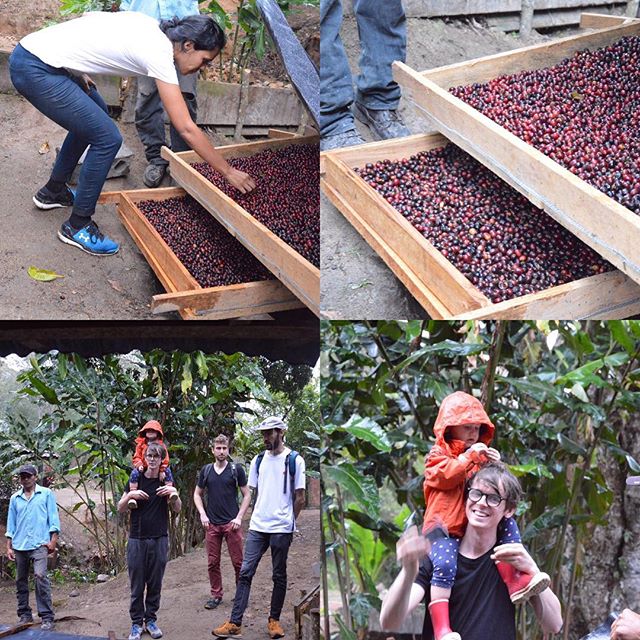 Nu är jag i Ocota, Nicaragua och lär mig mer om kaffe. Igår var vi och kollade in Per Nordbys gård @fincaelarbol #kafferesa #pernordby #materiamajorna #nicaragua